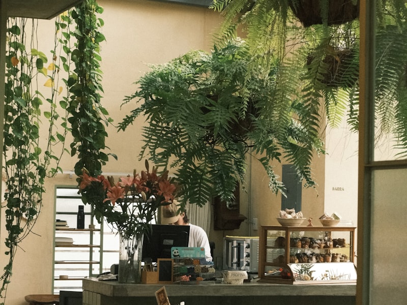 [Temporary stock photo] [Placeholder] Seating area with plants