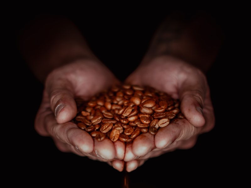 [Temporary stock photo] [Placeholder] Hands holding freshly roasted coffee beans
